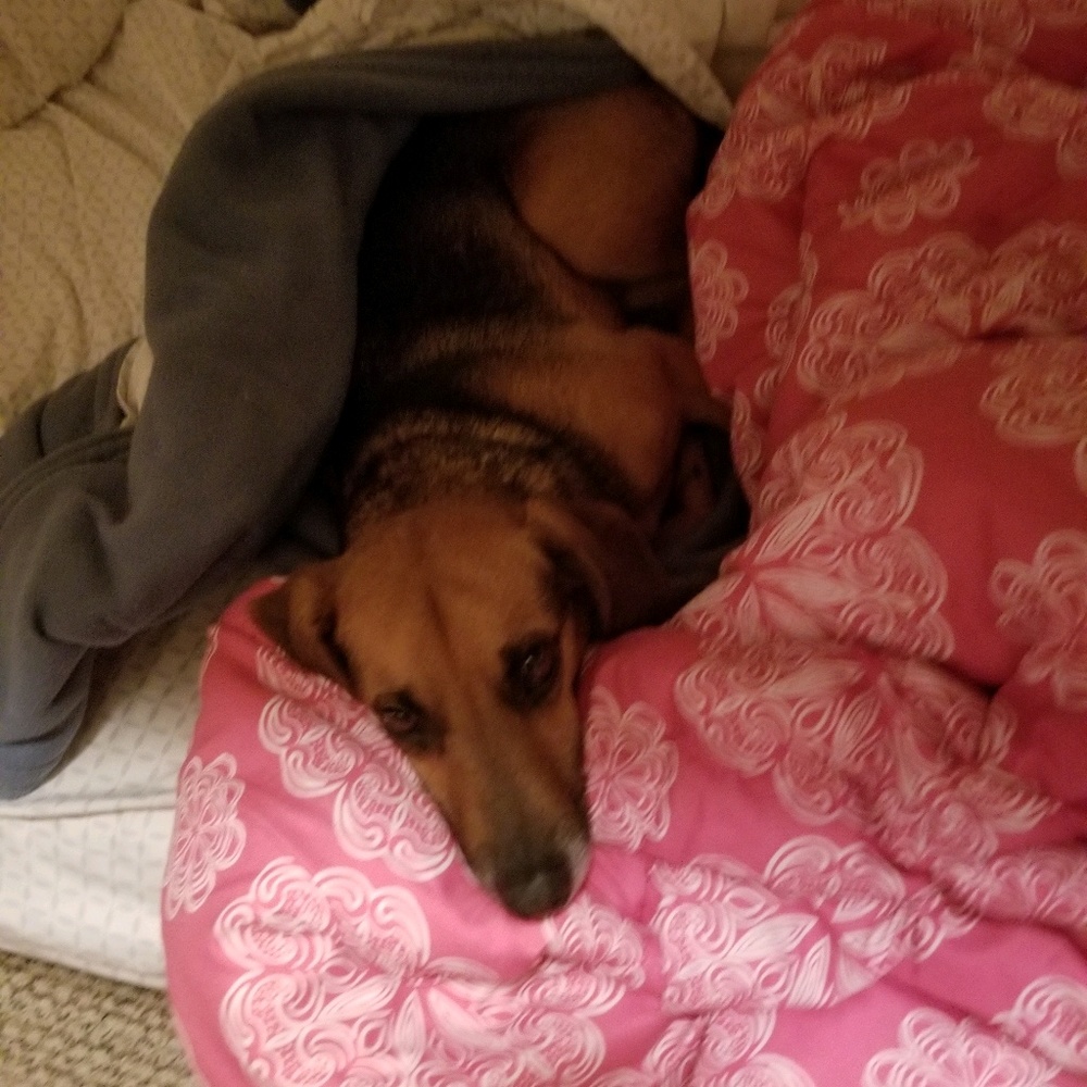 Meet your Posher, Tiffany